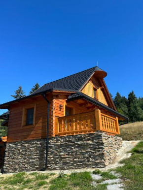 Malebný chalet Benešky